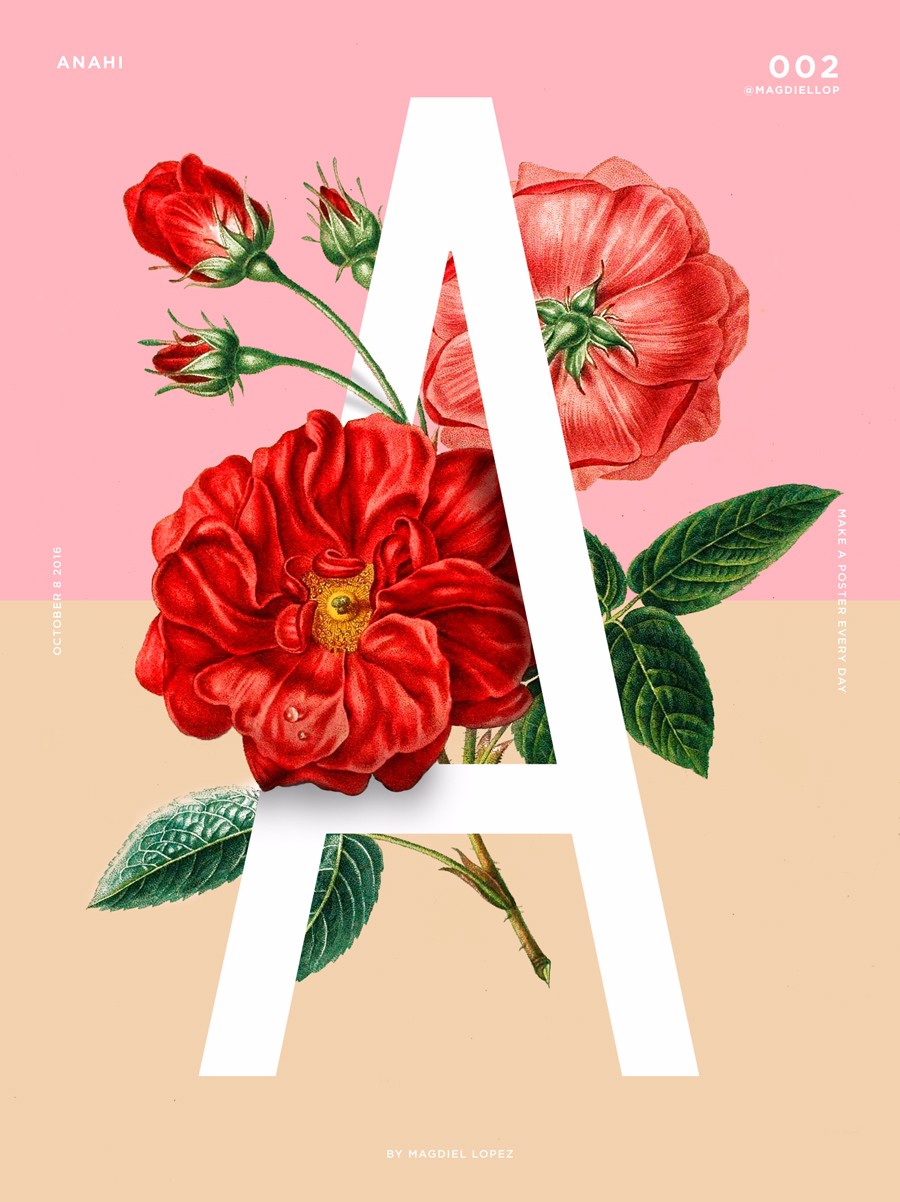 颜色新颖 (1).jpg